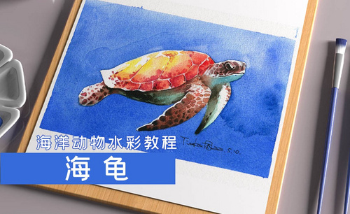 水彩- 海洋动物-海龟