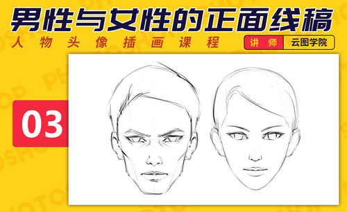 PS-板绘头像-男性与女性的正面线稿-如何画出好看的脸