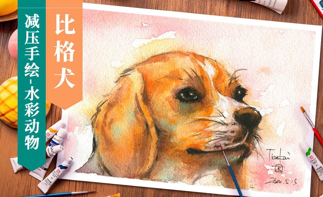 减压手绘萌宠 水彩 比格犬 绘画插画教程 水彩 虎课网