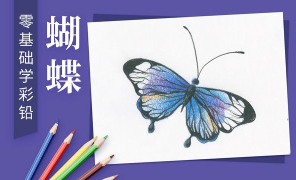 零基础学彩铅-巧用渐变画蝴蝶