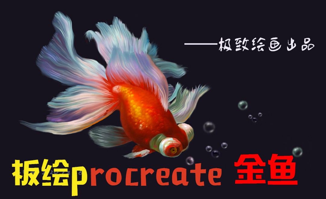  板绘procreate插画教程——金鱼-1