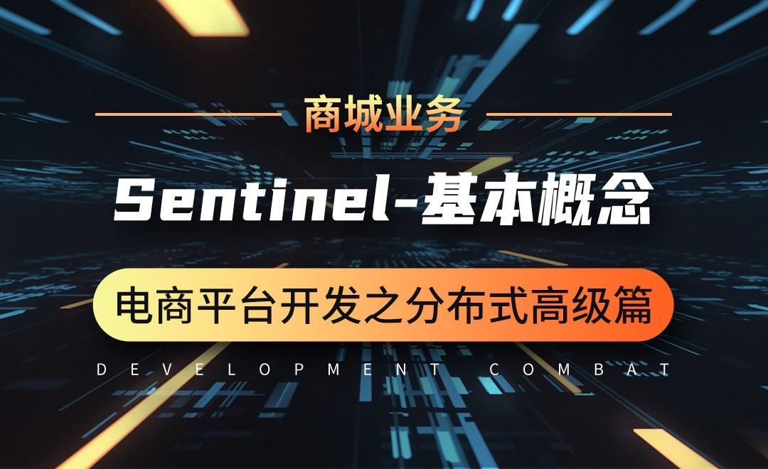Sentinel-基本概念-微服务分布式电商项目开发实战之高级篇