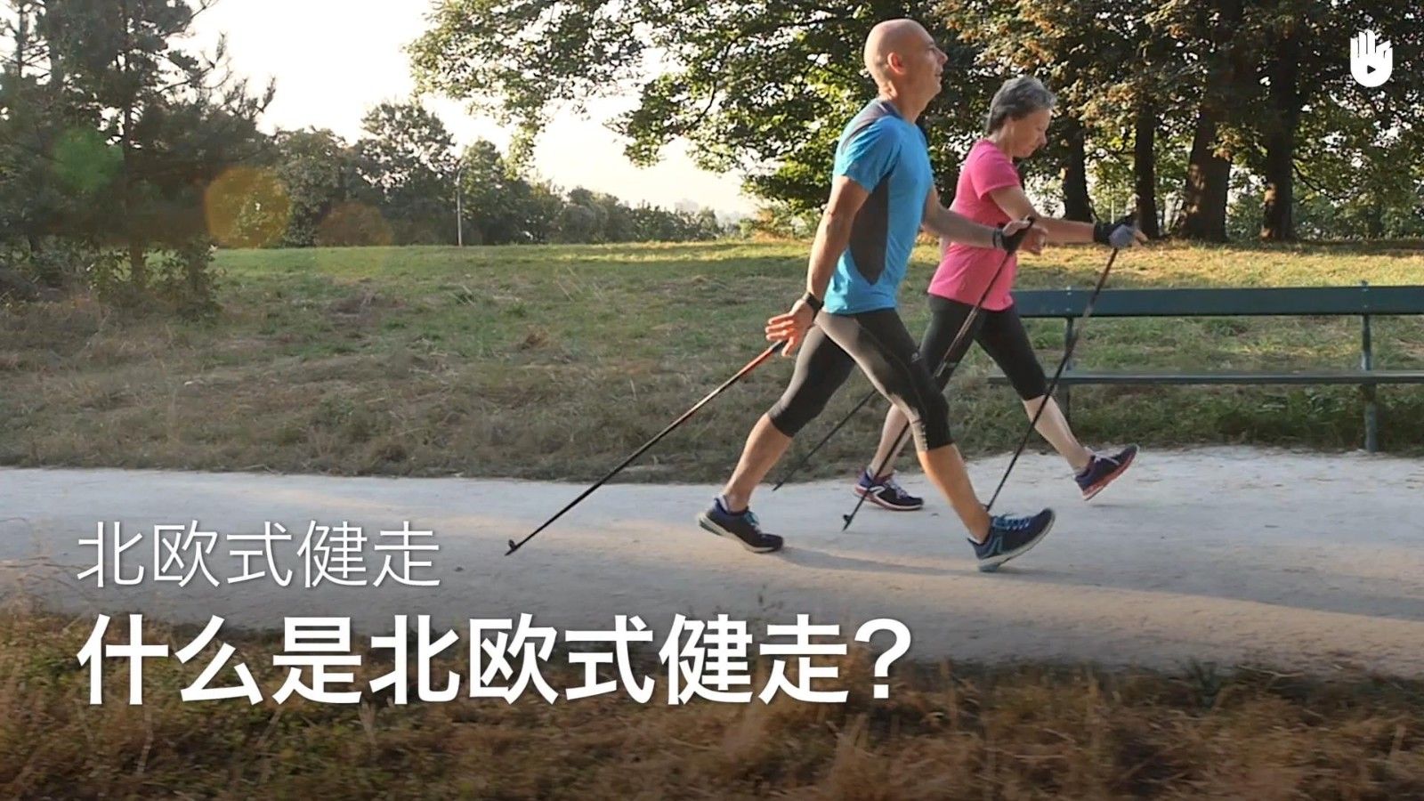 双杖同步推进走练习