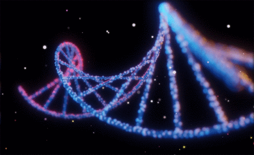 Blender-DNA粒子分散动效