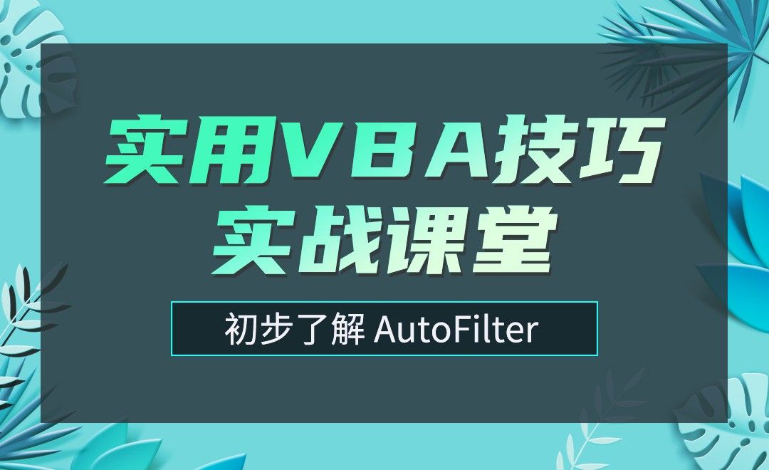 初步了解AutoFilter筛选-实用VBA技巧实战课堂