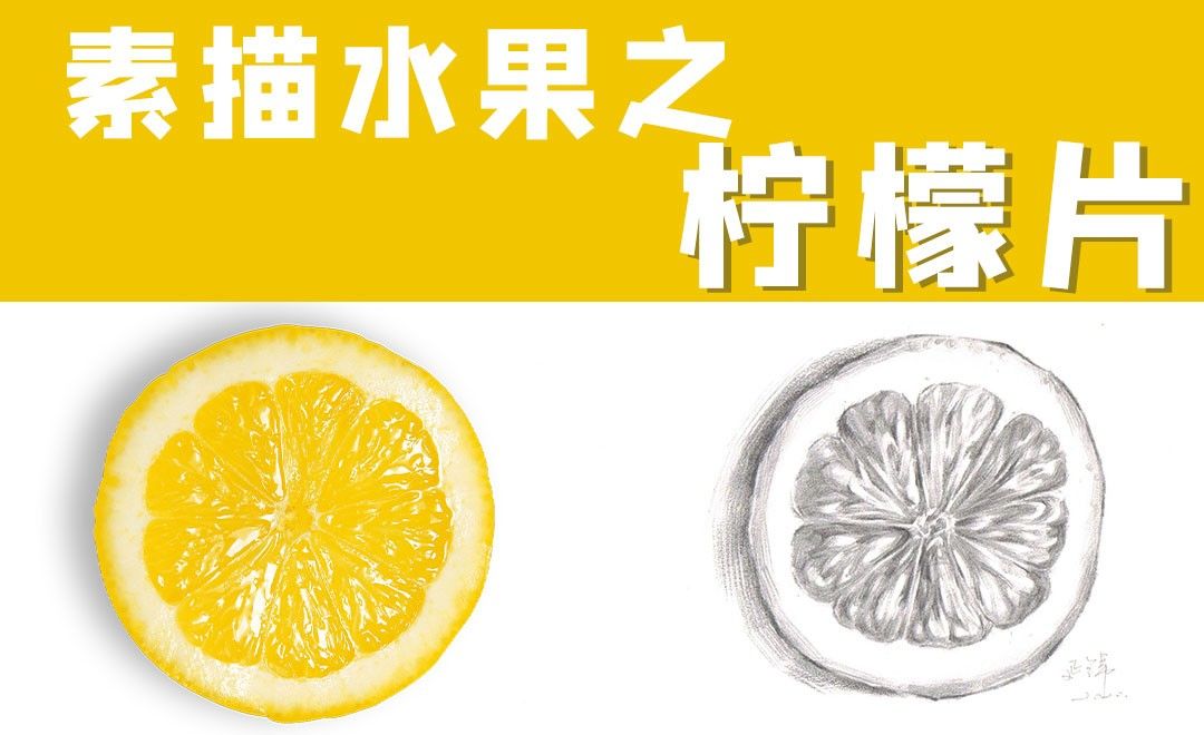 素描水果之柠檬片-1