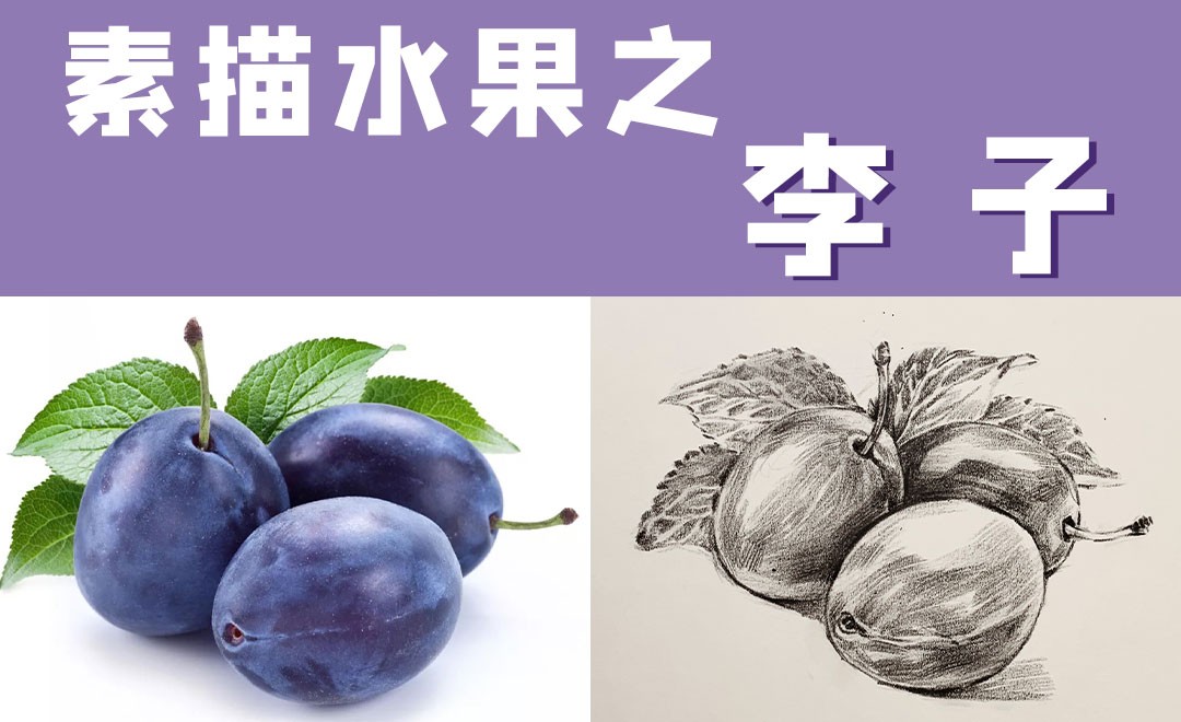 素描水果之李子