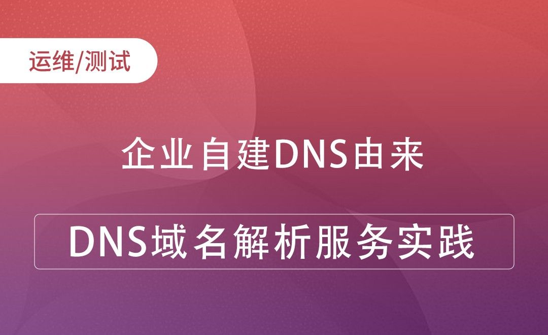 企业自建DNS由来-DNS域名解析服务实践