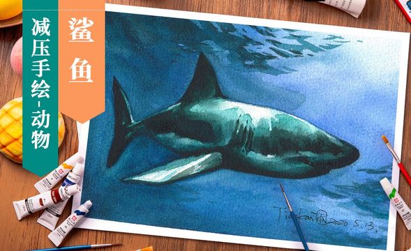 【减压手绘动物】水彩- 鲨鱼