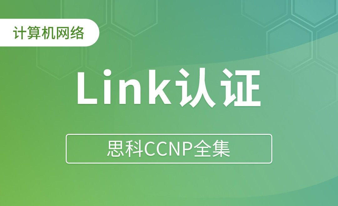OSPF认证：Link认证 - 思科CCNP全集