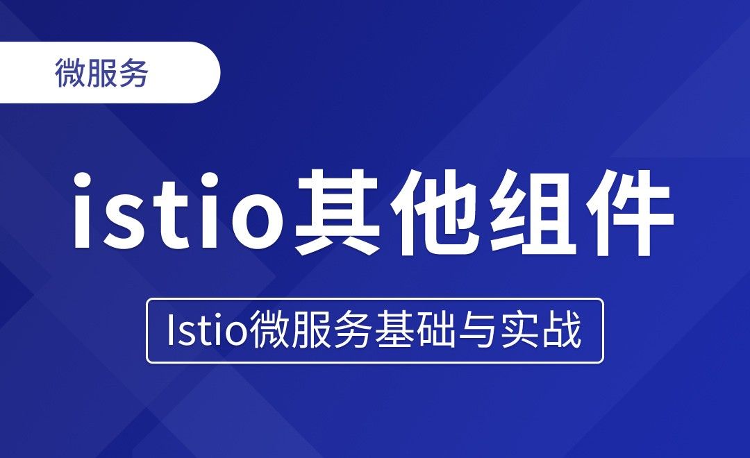 istio其他组件 - Istio微服务基础与实战