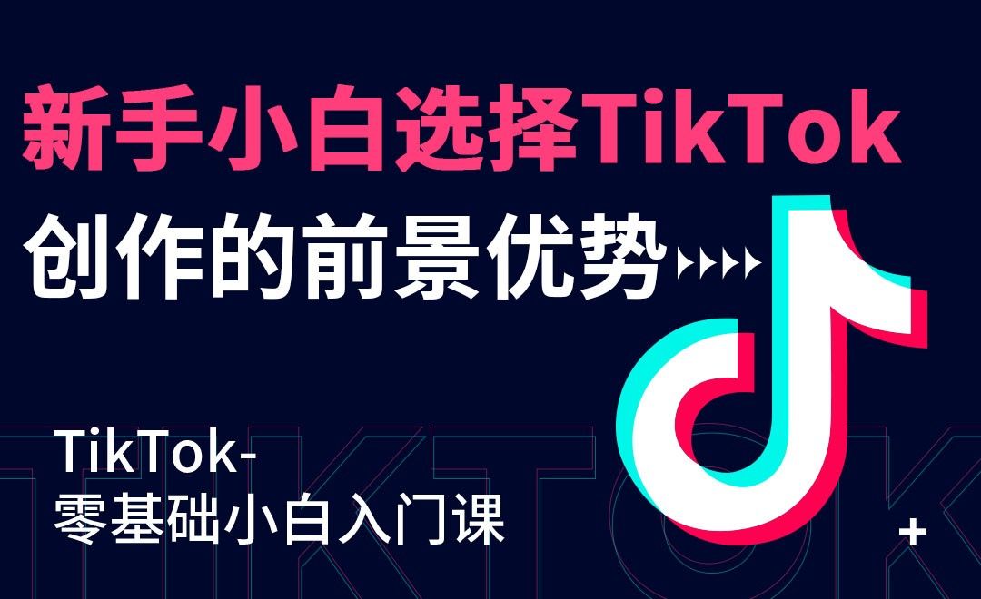 新手小白选择TikTok创作的前景优势-TikTok跨境电商05