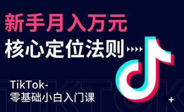 日入500+新玩法-TikTok跨境电商01