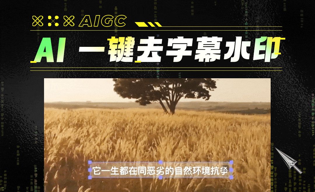 AI视频处理，去字幕水印