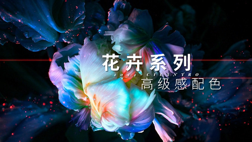 花卉系列高级感配色09-审美提升与配色纯享